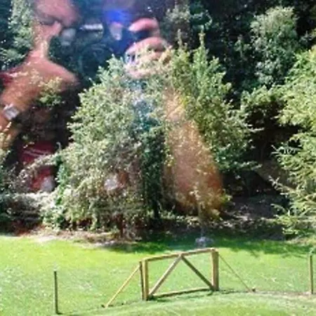 Log Ii - With Dog