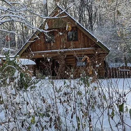 Log Ii - With Dog